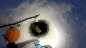 Рыбалка у чëрной дыры. Ловля налима. Двадцать пятая серия.