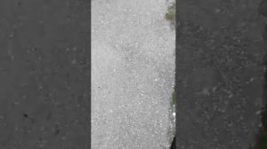 аоаоео как гуляю