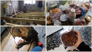 Ремонт в доме продолжается. Продукты и заказы с ВБ. Кедровка и куриный деликатес