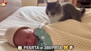 Ребята и зверята от ИИ милое видео для души и радости 👶🏻😺🐶 (9)