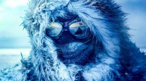 Трейлер фильма - Амундсен (2019) История / Приключения