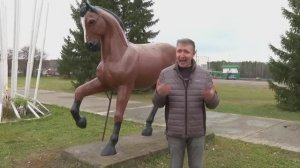 КАЗАННАН КАЗАНГА | Сак-сок (Альберт Хөсәеновның кызыклы тапшыруы)