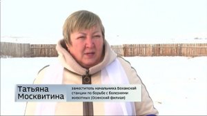 Автоматизированный цех по первичной переработке мяса открыли в деревне Кутанке Осинского района