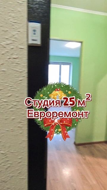 Квартира-студия 25 м²
г. Домодедово М.О.