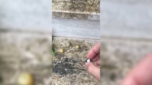 Did YOU manage to LAUGH at these RANDOM memes?