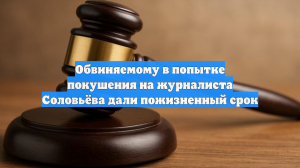 Обвиняемому в попытке покушения на журналиста Соловьёва дали пожизненный срок