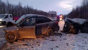 Аварии и ДТП на дорогах ТОРОПЫГИ за рулем