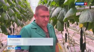 ВЕСТИ КРЫМ: выпуск 19.12.2025 9:30