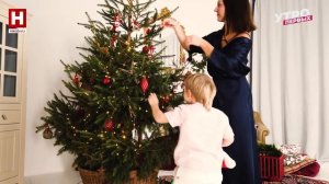 Ёлка в доме | ПРО ЦВЕТ