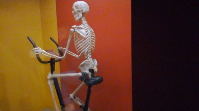 Галилео 5 смотреть онлайн