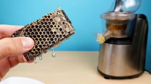 Что если выжать Медовые Соты в Соковыжималке МедоВыжималка! alex boyko