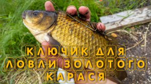 Подобрал ключик для ловли золотого карася в пруду на поплавок летом
