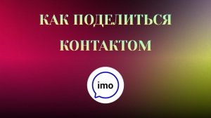 Как Поделиться Контактом в imo