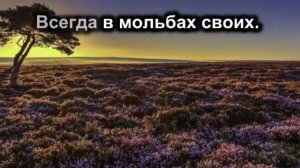 Люблю Господь Твой дом.