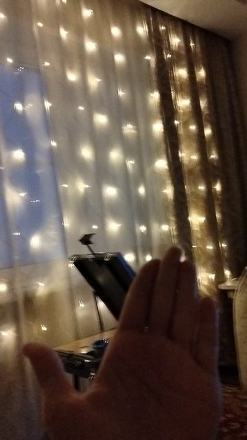 Я вернулась с новым животным😘🔥🌹 смотреть онлайн