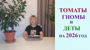 ТОМАТЫ ГНОМЫ И ДЕТЕРМИНАНТНЫЕ СОРТА НА 2026 ГОД.