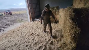 #346 The Little Tractor's Turning Point 28.11.2025