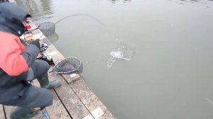 Поимка на блесну