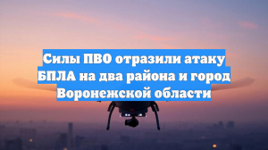 Силы ПВО отразили атаку БПЛА на два района и город Воронежской области