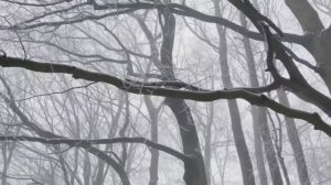 КОГДА Я ВЕРНУСЬ...