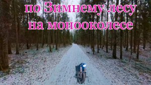 Катаемся по зимнему лесу на моноколесе