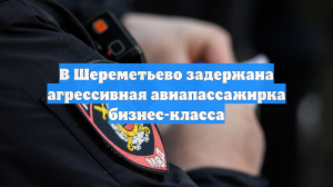 В Шереметьево задержана агрессивная авиапассажирка бизнес-класса