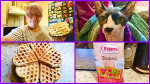 #1-20.12.25 🌺ВЕНСКИЕ ВАФЛИ 🧇 И НЕ ПОСЛУШНЫЙ КОТ 🐈