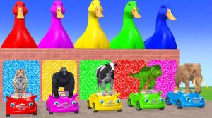 Веселые игры с слоном, гориллой, бегемотом, тигром - 3D игра с животными - Забавные 3D животные