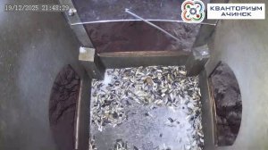 КВАНТОРИУМ АЧИНСК | Прямая трансляция из скворечника