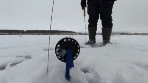 Рыбалка на жерлицы 18 декабря 2025.