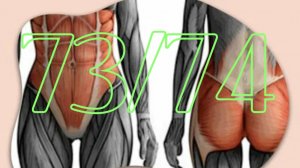 Укрепляем мышцы кора для здоровой спины
