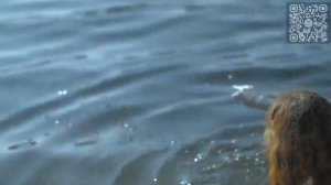 Девушка на песке пляжа .Эротика.