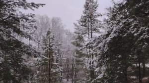 Стоит ли становиться карьеристом в работе по найму в организации?