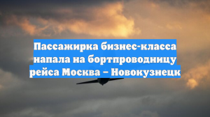 Пассажирка бизнес-класса напала на бортпроводницу рейса Москва – Новокузнецк