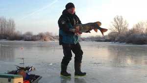 ПЕРВЫЙ ЛЁД 2025 -2026! Огромные ЩУКИ на ЖЕРЛИЦЫ ! Плотва и окунь на безмотылку!