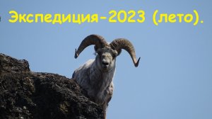 Экспедиция 2023 года - лето и осень.