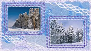 Зимушка Зима 1!!! Чудо природы от Киностудии Мудрого Кота Тимофея!