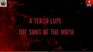 Music Info News 16.12.2025