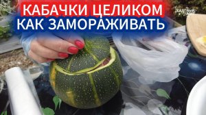ПОЧЕМУ НАШИ КАБАЧКИ НЕ РАЗВАЛИВАЮТСЯ ПРИ ГОТОВКЕ ПОСЛЕ РАЗМОРОЗКИ? ЗАМОРОЗКА КАБАЧКА ЦЕЛИКОМ.
