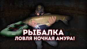 Я НЕ МОГУ ЕГО ВЫТАЩИТЬ! РЫБАЛКА НА САЗАНА В НОЧЬ НА ЭТО КЛЮЁТ ЛУЧШЕ ЧЕМ НА МОТЫЛЯ ЧЕРВЯ И ОПАРЫША!