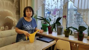 Орхидеи. Результат по уценкам.