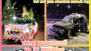 Типы водителей на 31 декабря в driving zone Germany