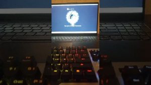 стрим по эволюции браинрот как вы просили