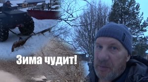 Зима чудит, каракат молодец!