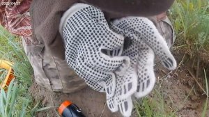 Копаем с Nokta Score 3