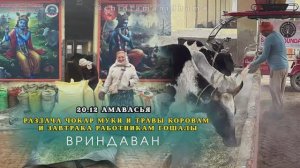 20 декабря. Амавасья. Раздача чокар муки и травы коровам и завтрака работникам гошалы