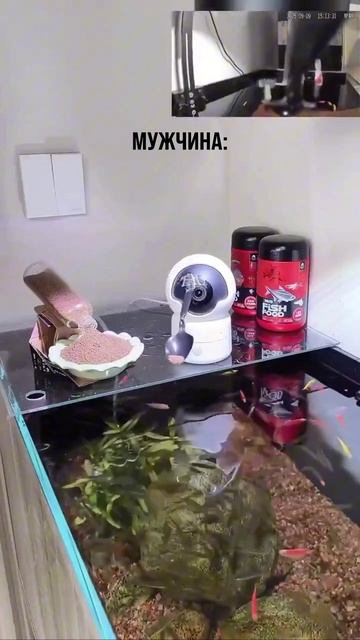 Это не инструкция по применению камеры 😅 смотреть онлайн