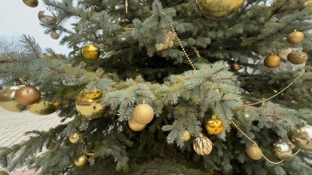 Магия Нового Года в ЕвпаторииПрогулка по зимнему курорту зимняяевпатория новыйгодвкрыму