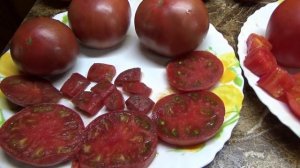 Томат Побрякушки Блю - сладкая шоколадка. №1068. Полный обзор и дегустация сорта. 2023 год.