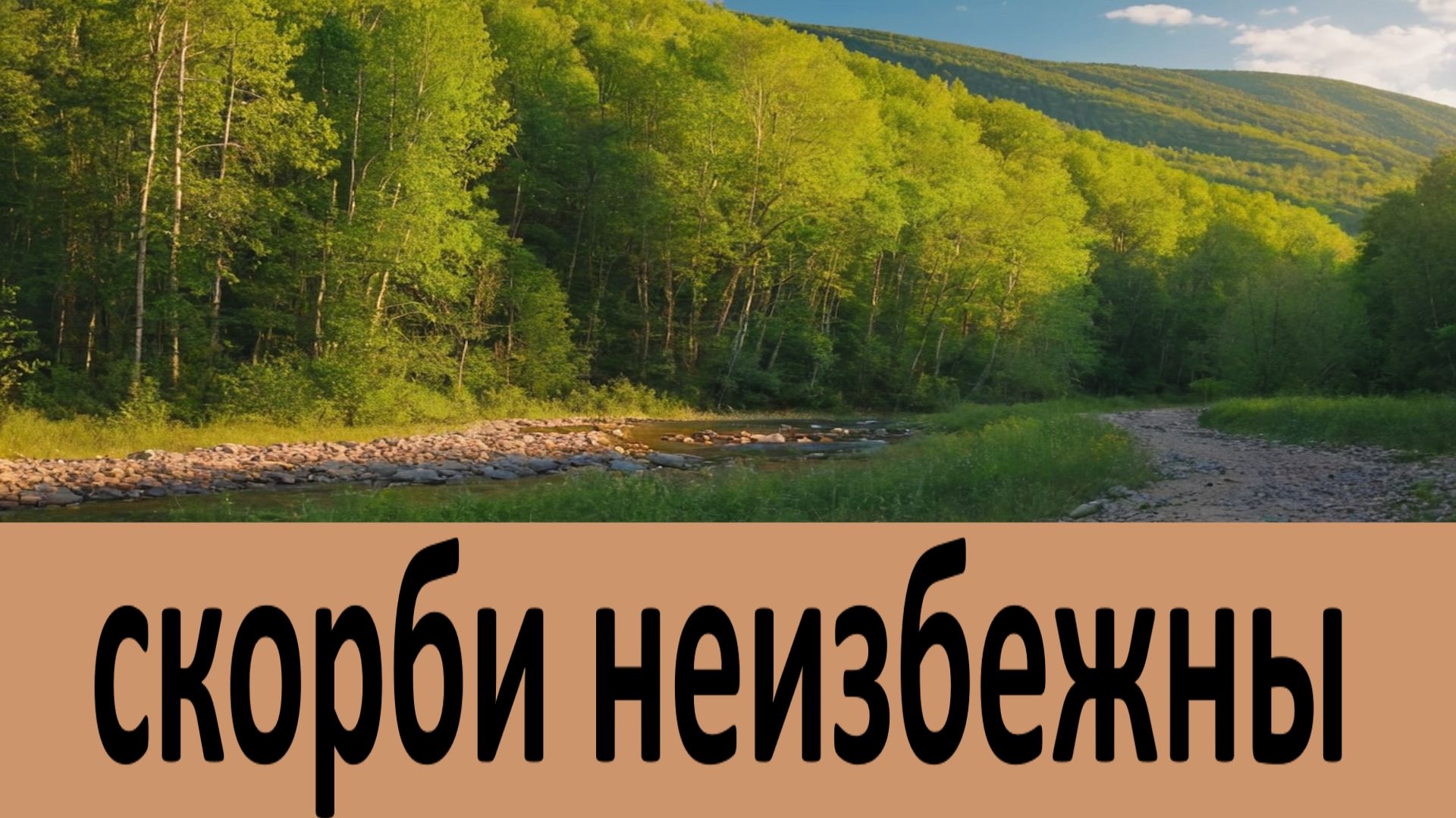 Скорби неизбежны... ВарсонофиЙ Оптинский смотреть онлайн